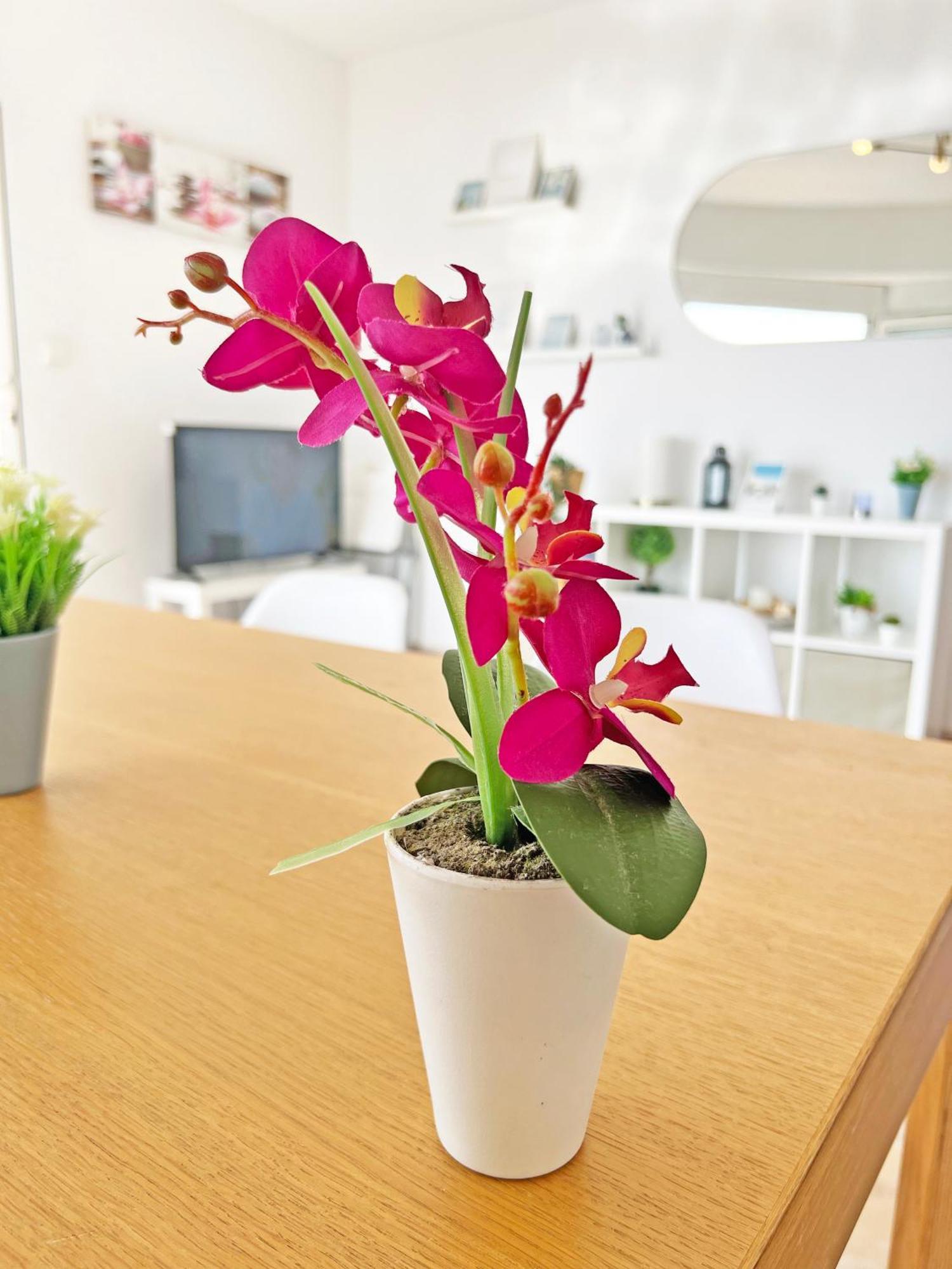 엘 캄펠로 Atico Frente Al Mar 2 Terrazas Barbacoa Y Parking Sujeto A Disponibilidad 아파트 외부 사진